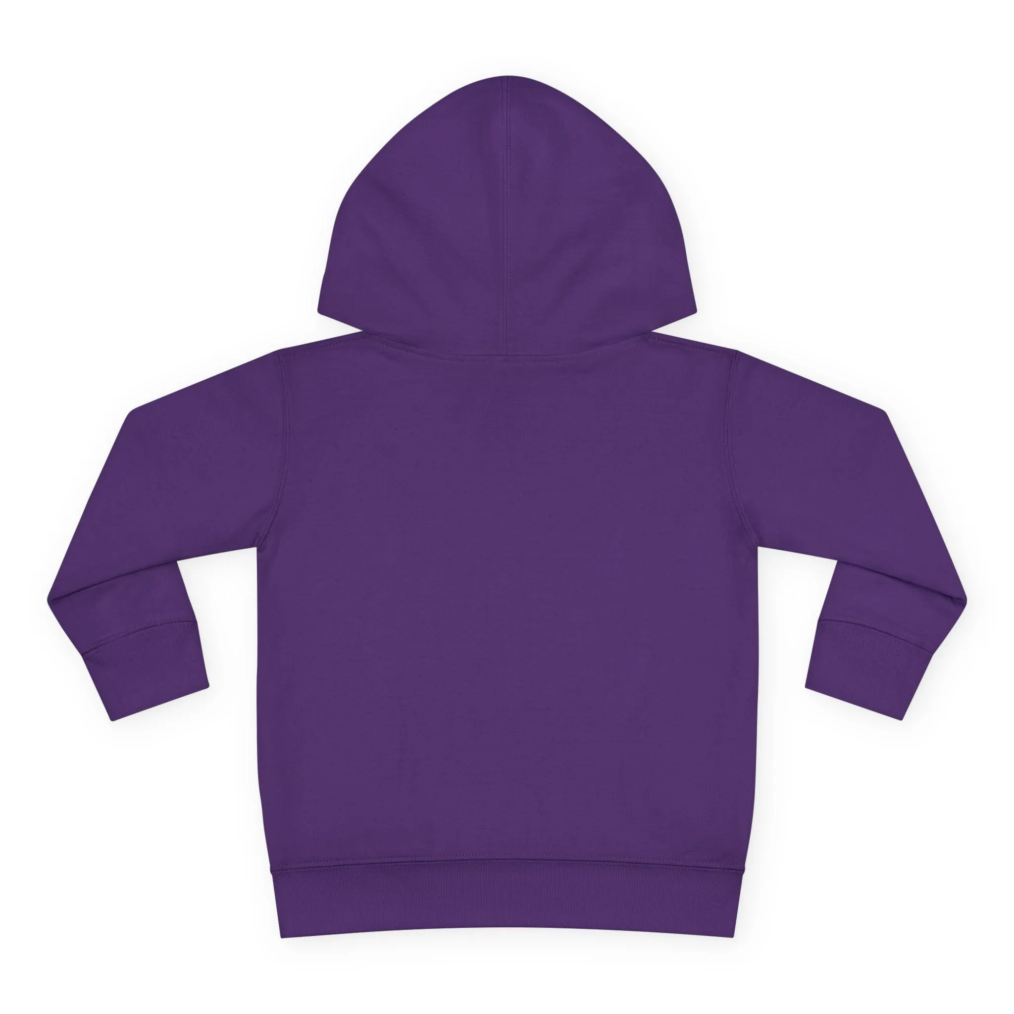 Christmas Gift Box Toddler Hoodie