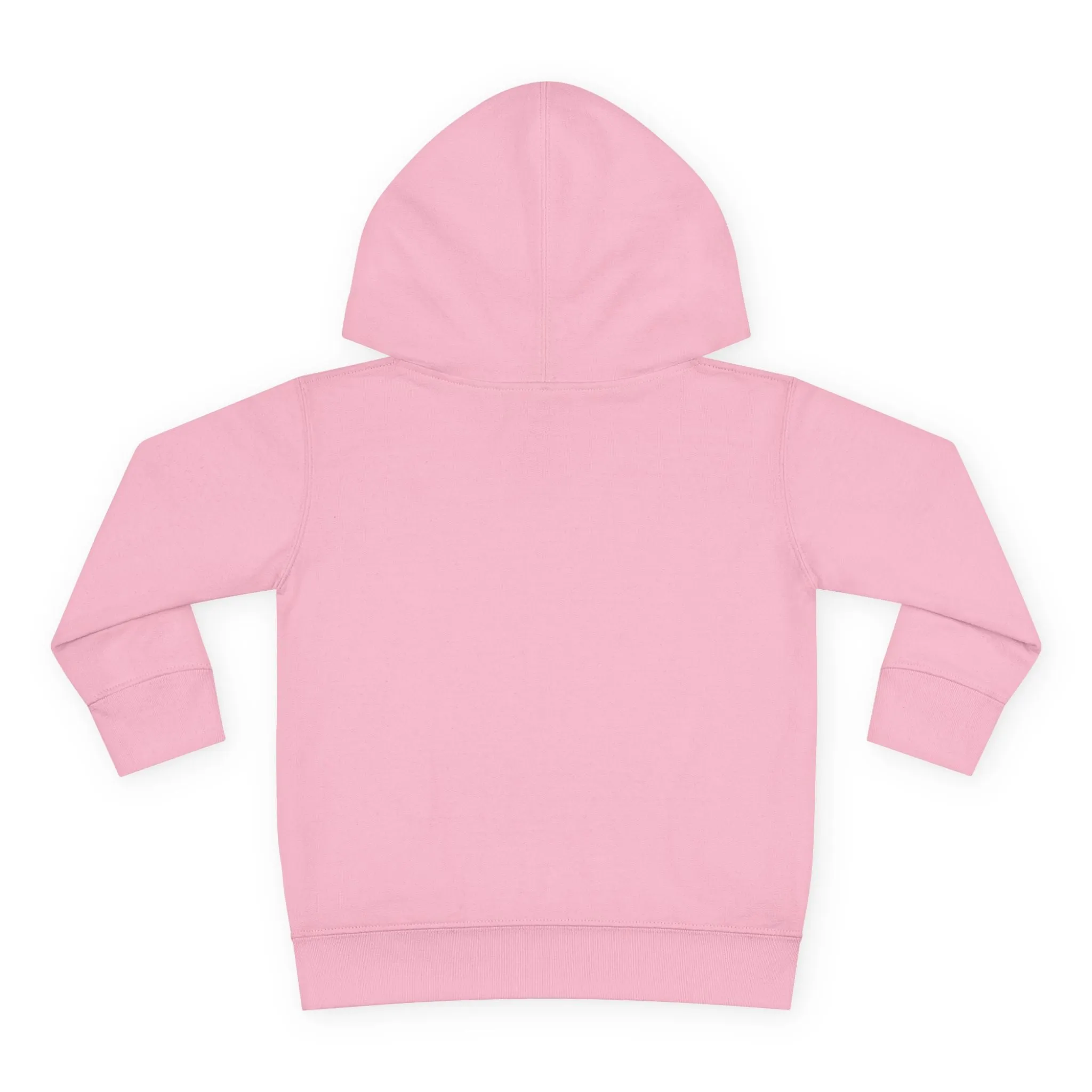 Christmas Gift Box Toddler Hoodie
