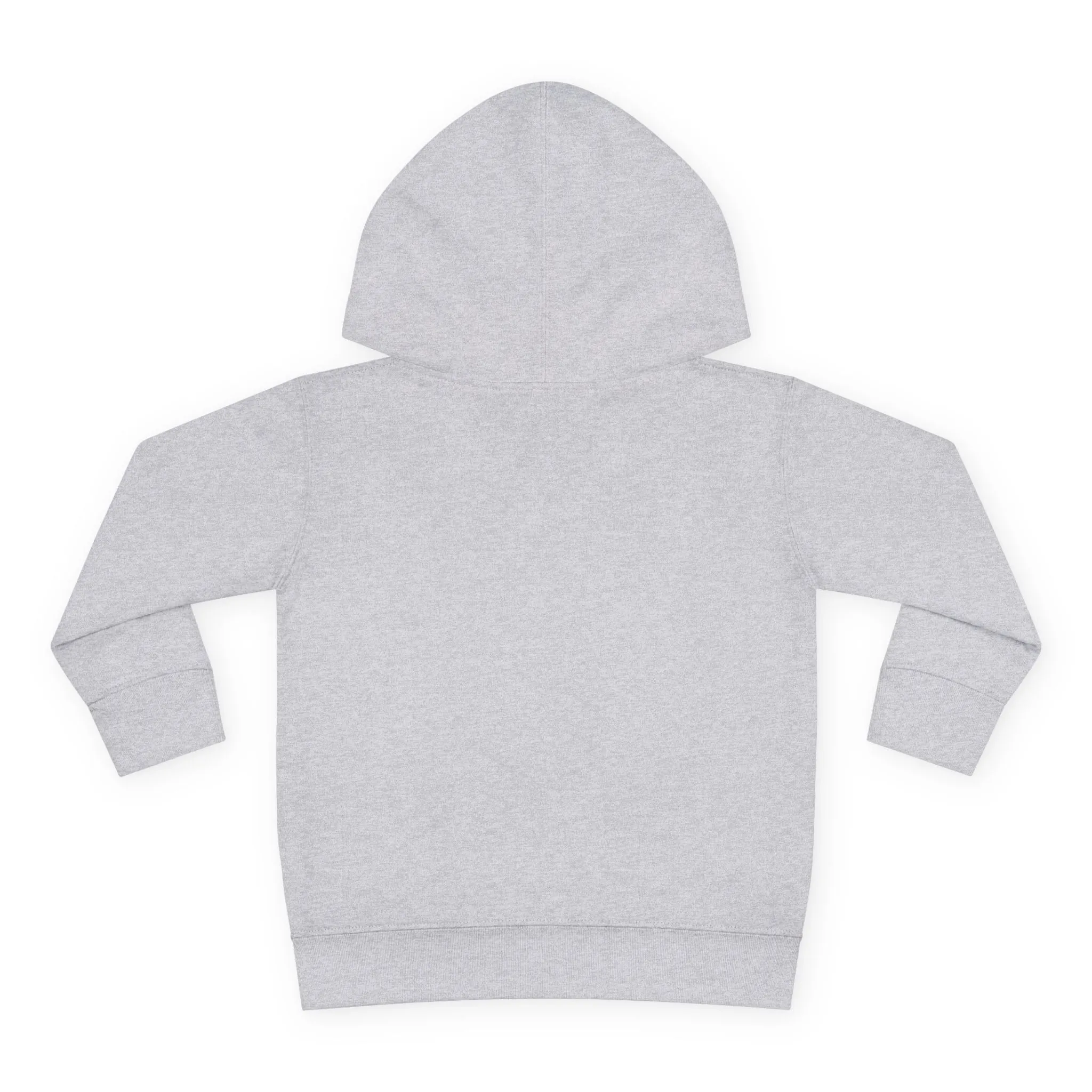 Christmas Gift Box Toddler Hoodie